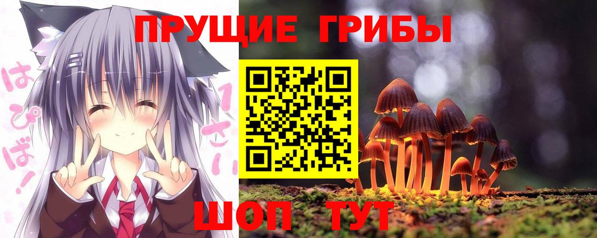 Псилоцибиновые грибы Cubensis Камышин