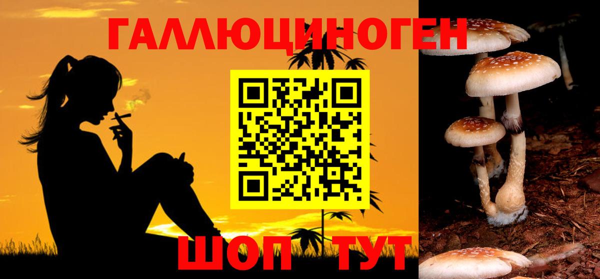 Галлюциногенные грибы прущие грибы  Вход с VPN  Камышин 